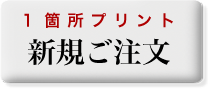 1箇所プリント　新規